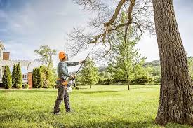 How Our Tree Care Process Works  in  Winchester, OH